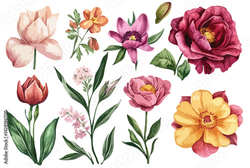 tulip, orchid, lily, rose, water lily, marigold,,jasmine, lotus, clipart, vector illustration, isolated on white