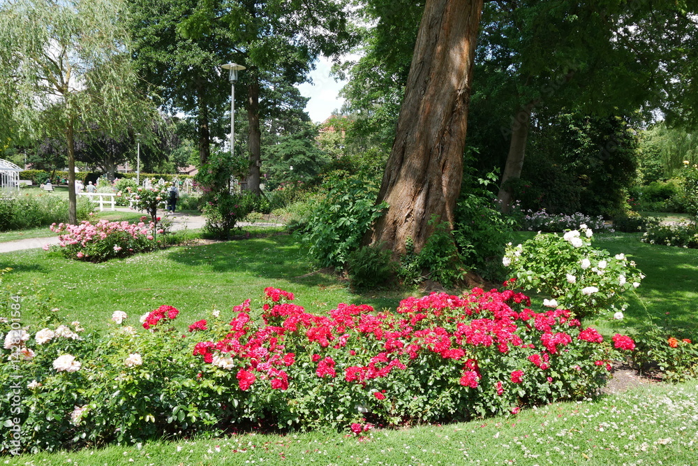 Rosarium Uetersen