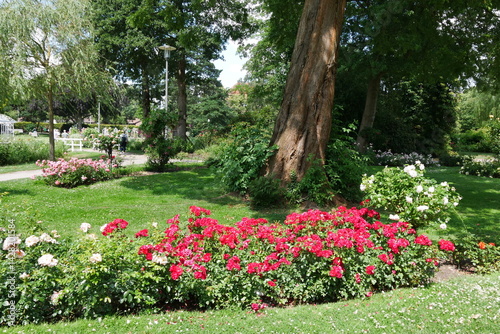 Obraz na płótnie Rosarium Uetersen w salonie