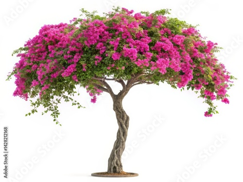 Blossoming Beauty: A Tree with Vibrant Pink Flowers