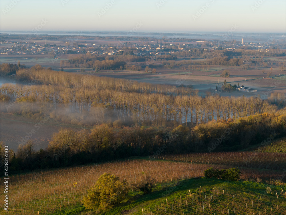 Obraz premium France, Gironde, Langoiran, Aerial view of Premieres Cotes de Bordeaux vineyard in Entre-Deux-Mers, Bordeaux vineyard at sunrise with fog over the Garonne river. High quality photo