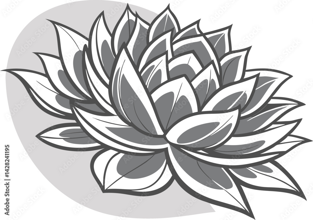 Fototapeta premium Succulent Plant Illustration Botanical & Stylish Art Design