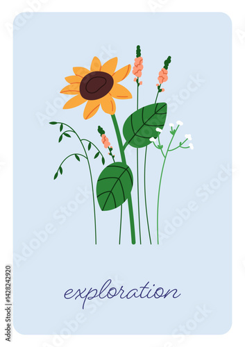 Floral card with sunflower, field flowers. Wildflower, poster design. Summer ...