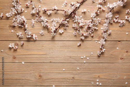 Spring apricot blossom bran...