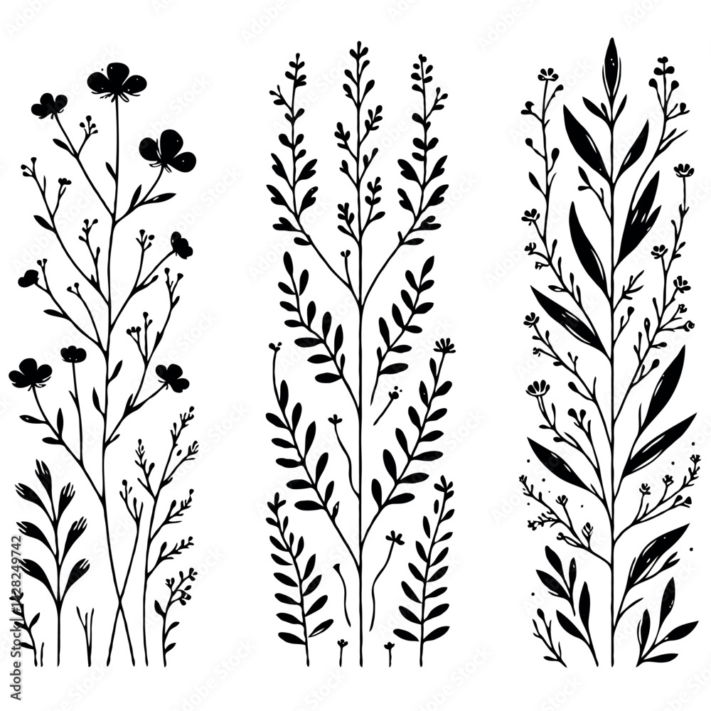 Hand drawn wild flowers Botanical drawing. line art grasses, stems illustration. Black and White Meadow herbs. Herbaceous blooming plants. Set of outline doodle floral sketch Leaves