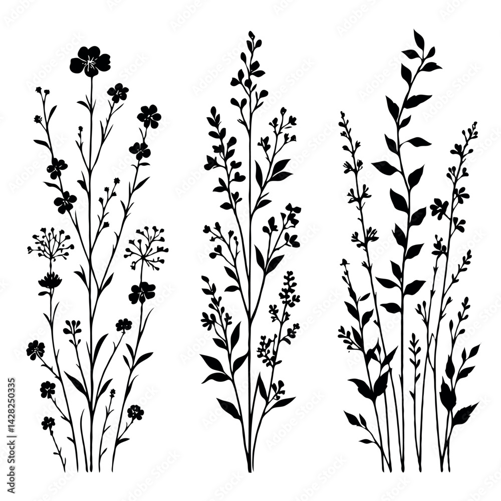 Hand drawn wild flowers Botanical drawing. line art grasses, stems illustration. Black and White Meadow herbs. Herbaceous blooming plants. Set of outline doodle floral sketch Leaves