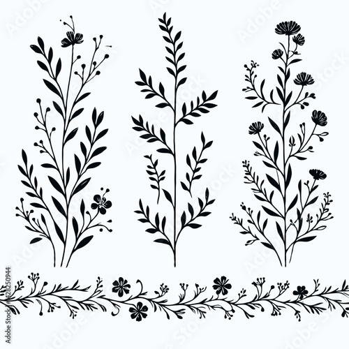 Hand drawn wild flowers Botanical drawing. line art grasses, stems illustration. Black and White Meadow herbs. Herbaceous blooming plants. Set of outline doodle floral sketch Leaves