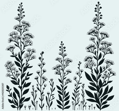 Hand drawn wild flowers Botanical drawing. line art grasses, stems illustration. Black and White Meadow herbs. Herbaceous blooming plants. Set of outline doodle floral sketch Leaves
