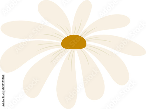 Hand-drawn daisy flower