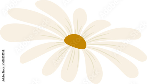 Hand-drawn daisy flower