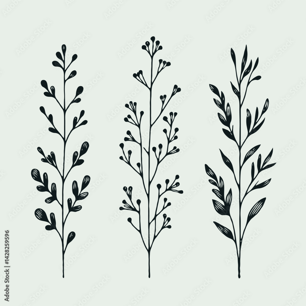 Naklejka premium Hand drawn wild flowers Botanical drawing. line art grasses, stems illustration. Black and White Meadow herbs. Herbaceous blooming plants. Set of outline doodle floral sketch Leaves 