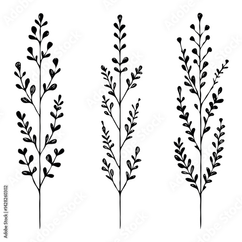 Hand drawn wild flowers Botanical drawing. line art grasses, stems illustration. Black and White Meadow herbs. Herbaceous blooming plants. Set of outline doodle floral sketch Leaves
