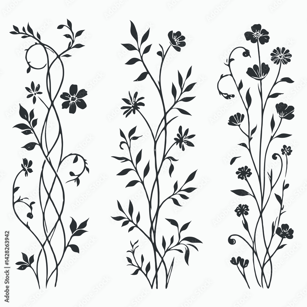 Hand drawn wild flowers Botanical drawing. line art grasses, stems illustration. Black and White Meadow herbs. Herbaceous blooming plants. Set of outline doodle floral sketch Leaves Hand drawn wild flowers Botanical drawing. line art grasses, stems illustration. Black and White Meadow herbs. Herbaceous blooming plants. Set of outline doodle floral sketch Leaves