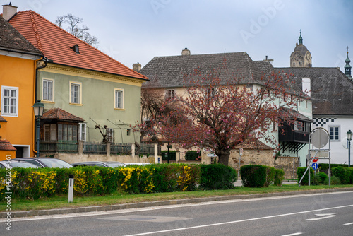 Fototapeta Naklejka Na Ścianę i Meble -  A small street in the Wachau valley with colored streets and a flowering tree