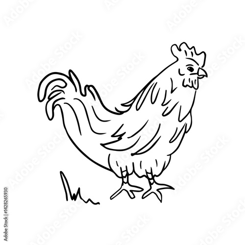 A hand-drawn silhouette of a rooster in the style of doodles. Wildlife, the concept of farming. Raising animals. Vector illustration for printing on clothes, packaging, coloring books