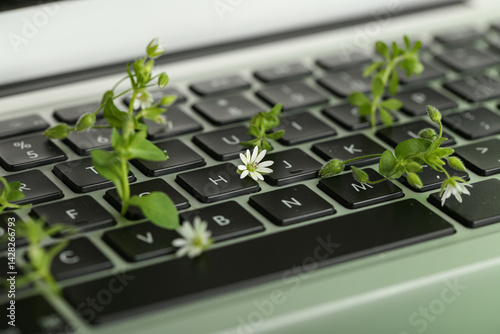 Laptop with leaves and flow...