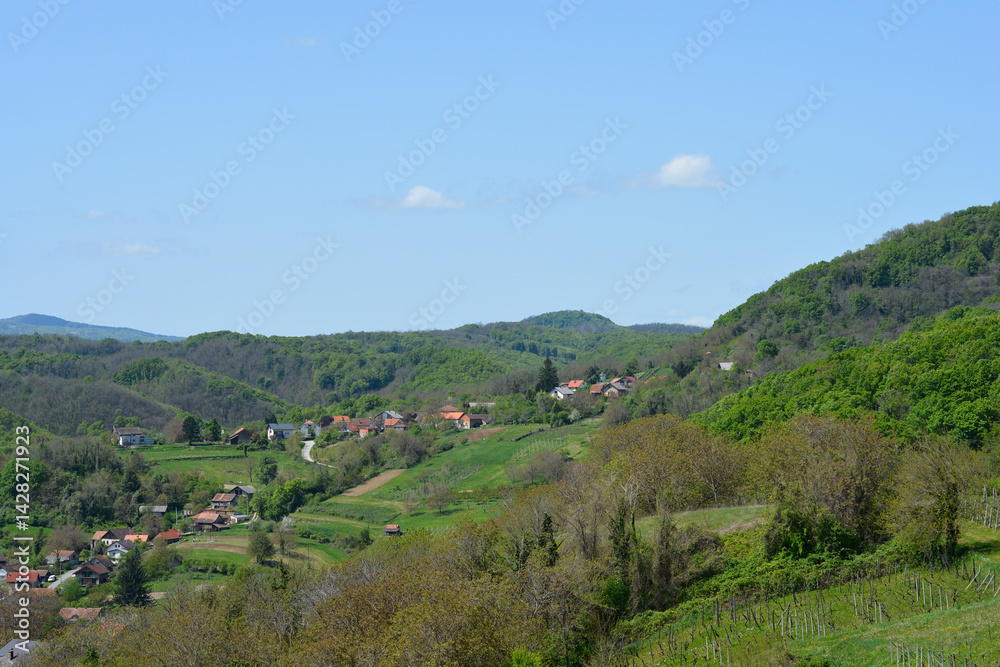 A scenic view from Gornje Psarjevo in Croatia looks northeast over rolling green hills dotted with houses under a clear blue sky
