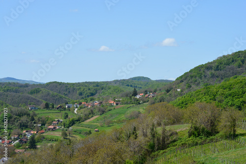 Obraz na płótnie A scenic view from Gornje Psarjevo in Croatia looks northeast over rolling green hills dotted with houses under a clear blue sky w salonie