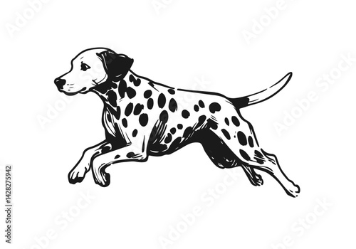 Dalmatian Dog Hand Drawn Illustration Sketch Vector Isolated by AZ for Books, Arts, Design and Decoration Graphic Asset