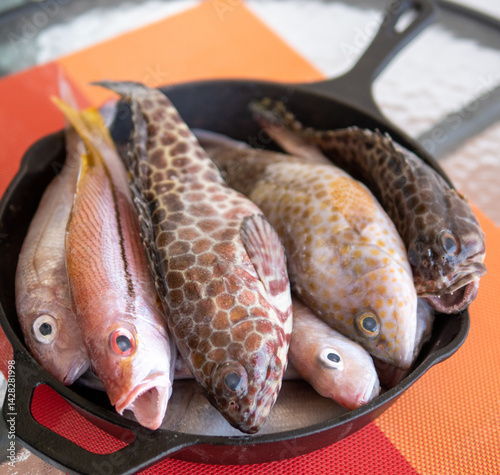 Fresh fish