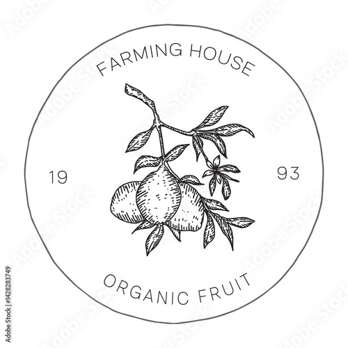Organic Lemon Logo Hand Drawn Style for Fresh Food Branding