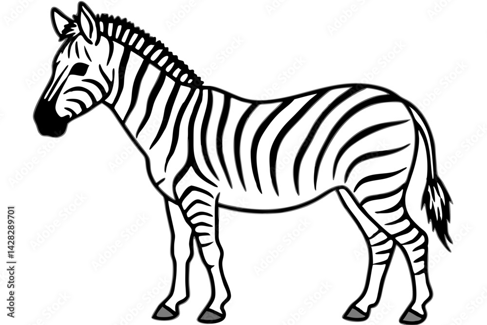 Obraz premium Graceful Striped Illustration