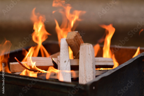 Obraz na płótnie wood burning on fire close up w salonie