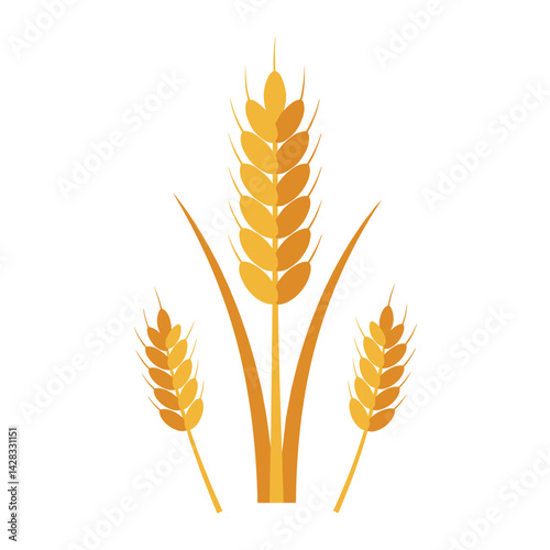 Wheat plants in a minimalistic style against a white background  