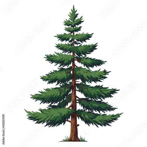 evergreen tree illustration on a white background  