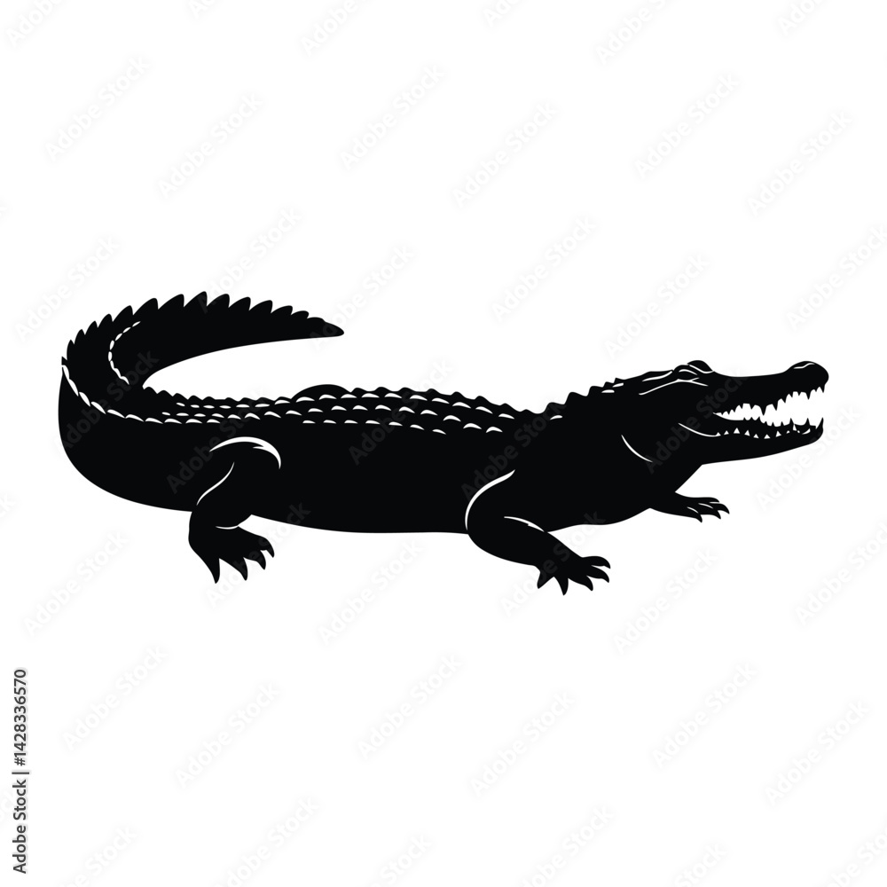 Black and white cocodile vector illustration with reptile features on a white background Black and white cocodile vector illustration with reptile features on a white background