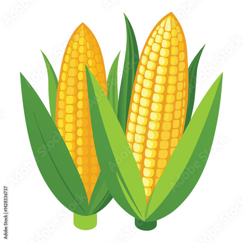 American corn on the cobs set shilhotee vector isolated on white background