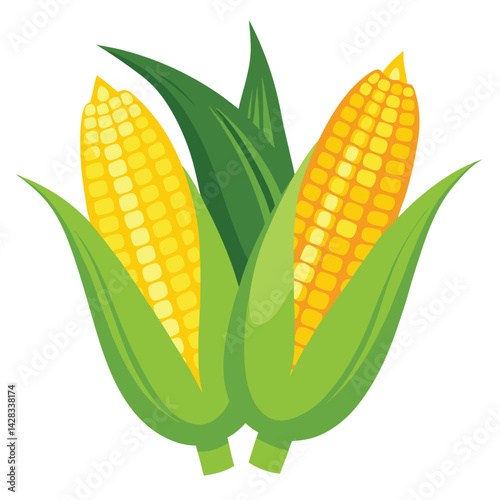 American corn on the cobs set shilhotee vector isolated on white background