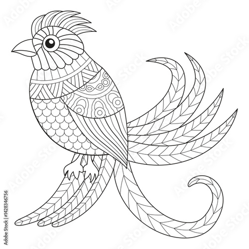 Intricate Bird Line Art for Coloring