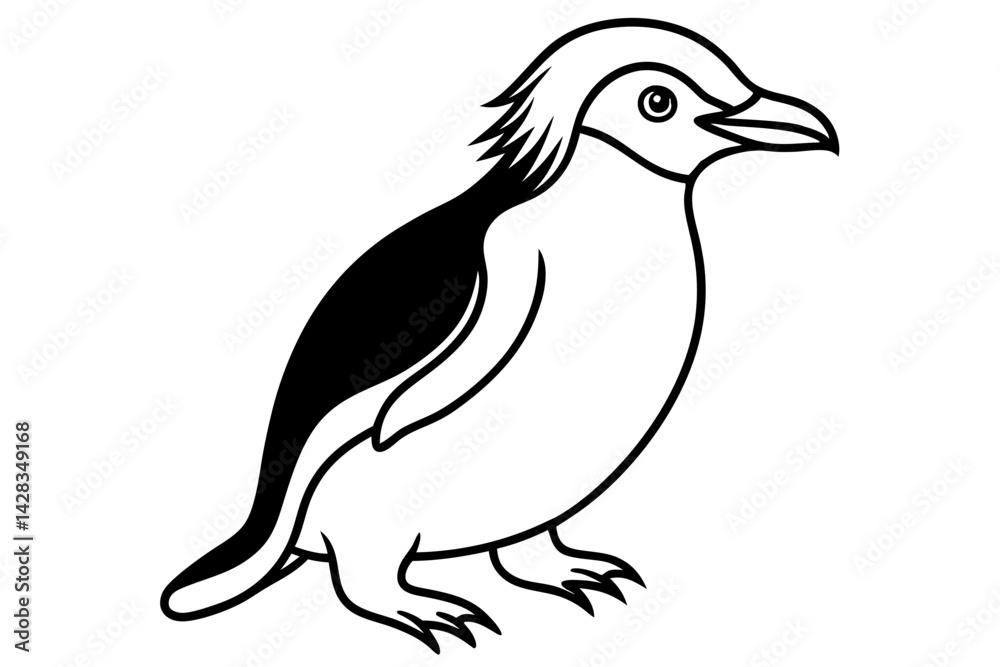 Fototapeta premium Penguin Outline Vector