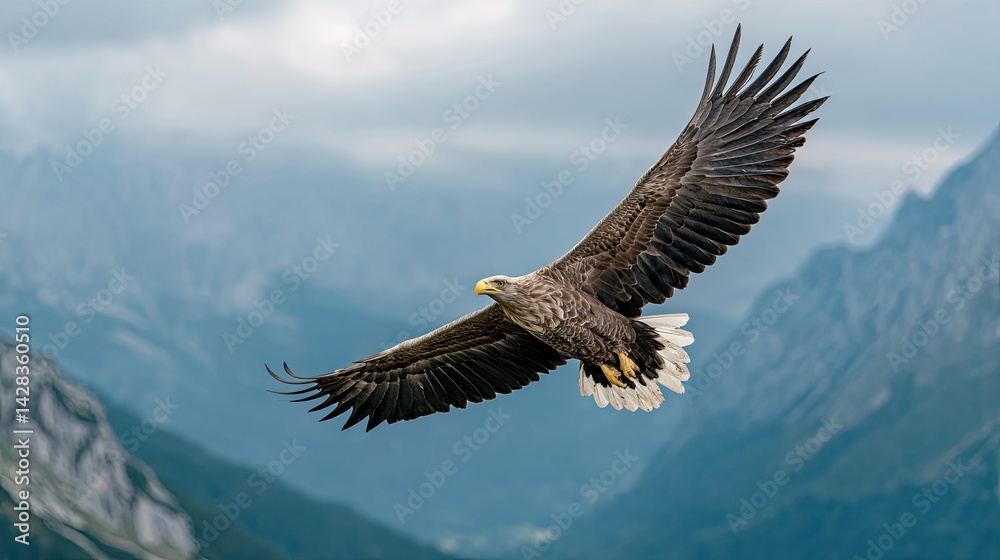 Obraz premium Majestic eagle soaring over mountain landscape with cloudy sky backdrop