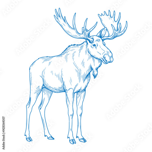 Elegant minimal hand drawn moose illustration in clean vector style showcasing simple monoline wildlife art for modern design