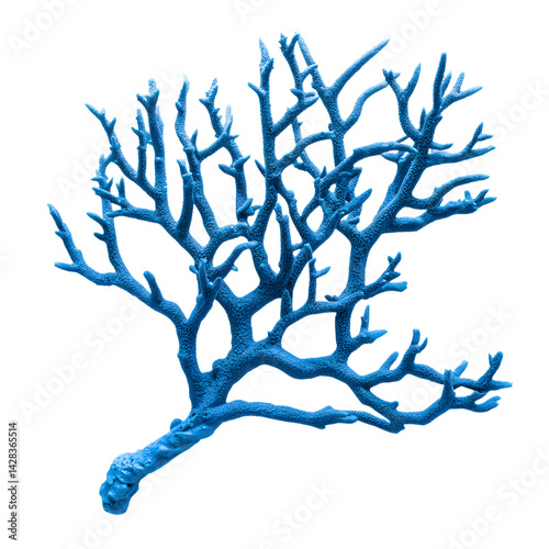 Vibrant Blue Coral Branch Isolated Against Transference 