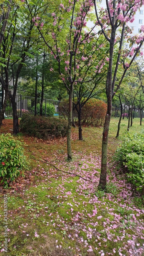 green leaves in the forest
