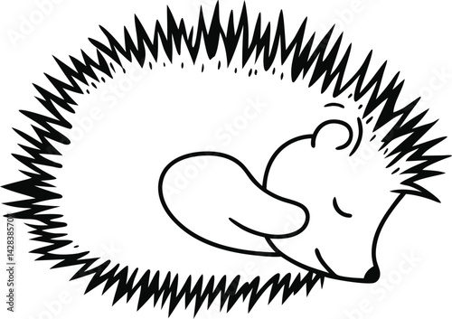 hedgehog illustration Vector , zoo, pet, drawing