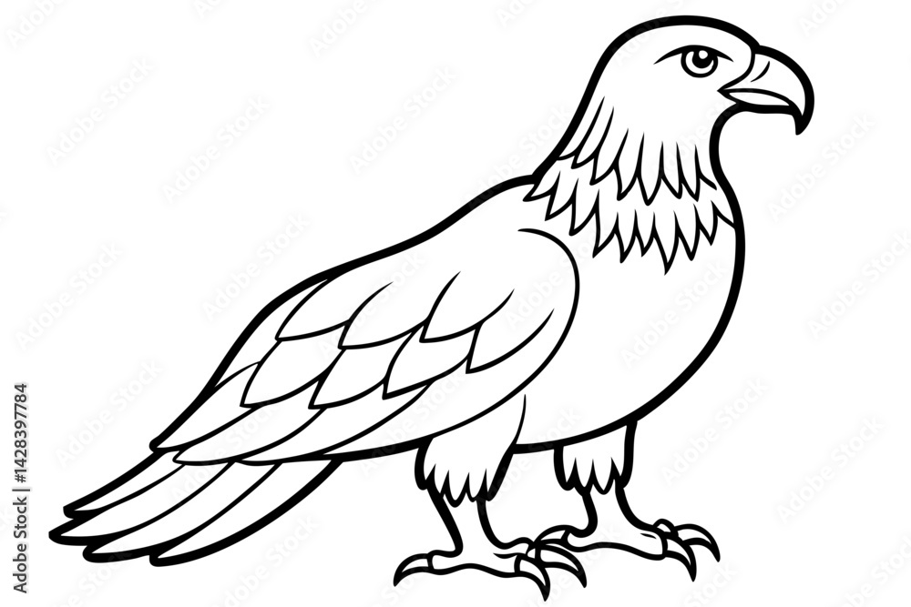 Fototapeta premium Eagle Full body line art vector illustration and white background