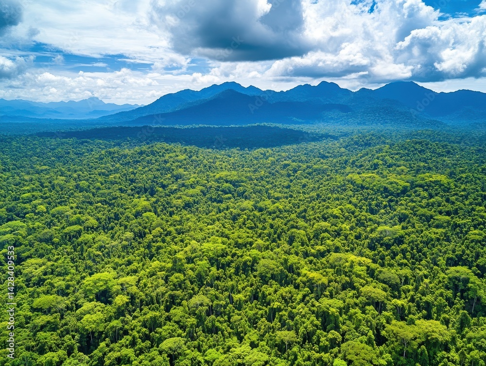 Fototapeta premium Lush Green Jungle Landscape with Dense Foliage Under Dramatic Cloudy Sky and Majestic Mountains in Background During Daylight