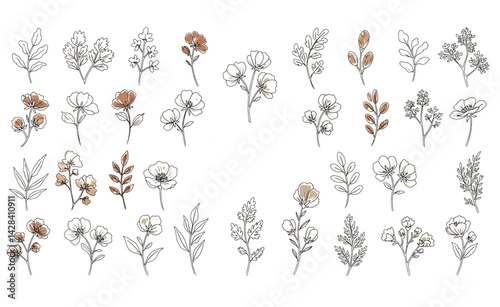set of minimalistic flowers, florals