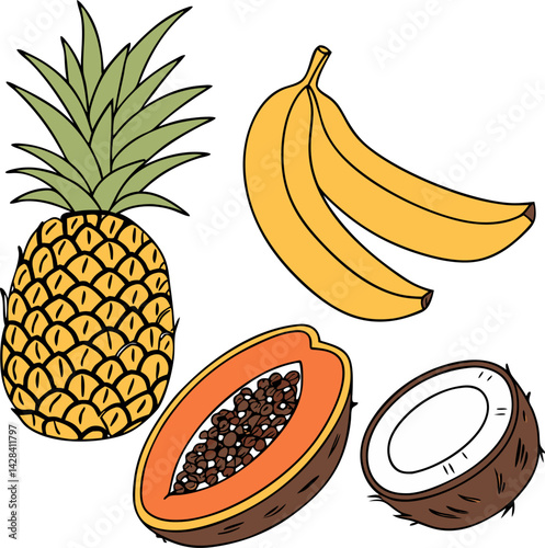 Stylized tropical fruit assortment: pineapple, bananas, papaya, and coconut illustration
