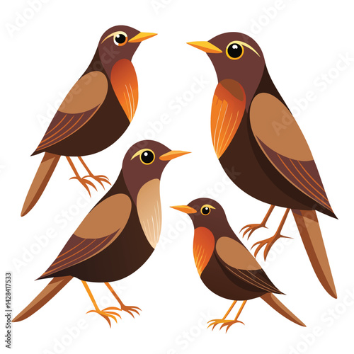Thrush Birds set  on white background
