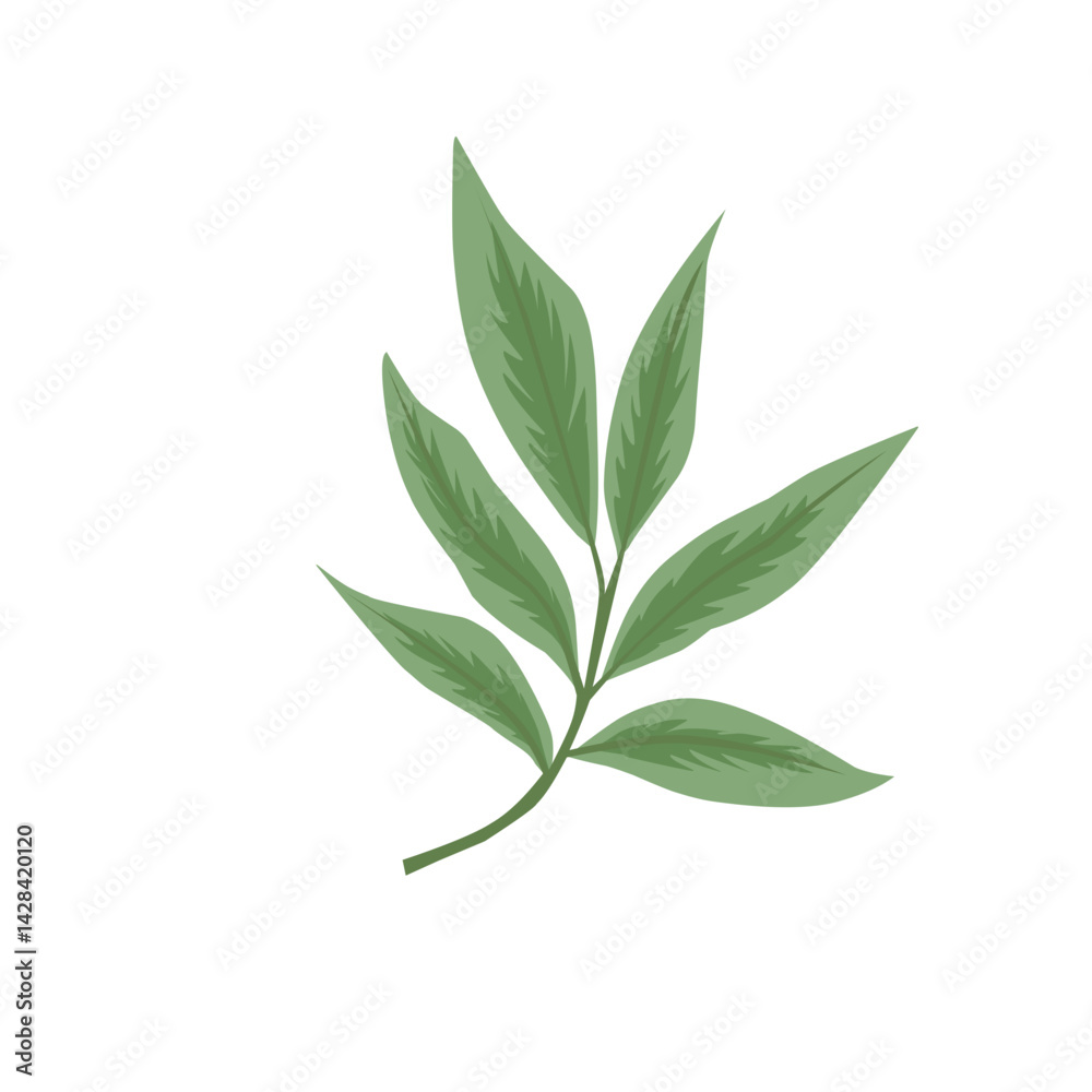 Green Leaf Vector Design Element Green Leaf Vector Design Element