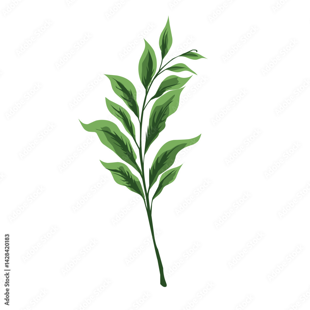 Fototapeta premium Green Leaf Vector Design Element