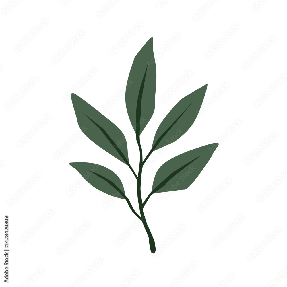 Fototapeta premium Green Leaf Vector Design Element