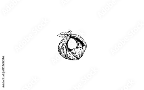 American Hazelnut Fruit – AI-Stylized Vector of Leaf-Husked Oval Nut