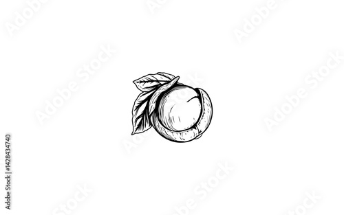 American Hazelnut Fruit – AI-Stylized Vector of Leaf-Husked Oval Nut