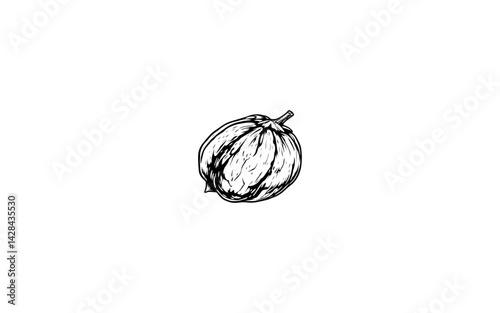 Amra Fruit – AI-Driven Drawing of Wrinkled Oval Fruit with Pointed Ends